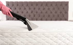 Temiz Koltuk Yıkama Hizmetleri 